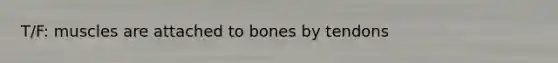 T/F: muscles are attached to bones by tendons