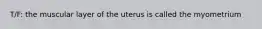 T/F: the muscular layer of the uterus is called the myometrium