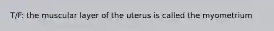 T/F: the muscular layer of the uterus is called the myometrium