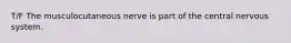 T/F The musculocutaneous nerve is part of the central nervous system.