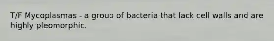 T/F Mycoplasmas - a group of bacteria that lack cell walls and are highly pleomorphic.