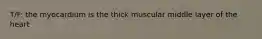 T/F: the myocardium is the thick muscular middle layer of the heart