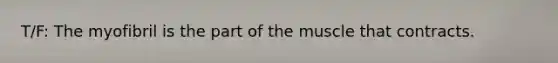 T/F: The myofibril is the part of the muscle that contracts.