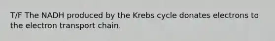 T/F The NADH produced by the Krebs cycle donates electrons to the electron transport chain.