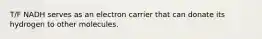 T/F NADH serves as an electron carrier that can donate its hydrogen to other molecules.