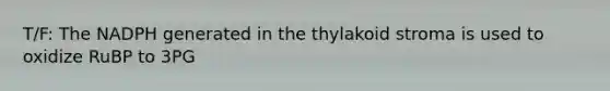 T/F: The NADPH generated in the thylakoid stroma is used to oxidize RuBP to 3PG