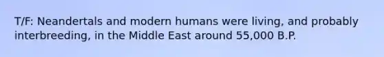 T/F: Neandertals and modern humans were living, and probably interbreeding, in the Middle East around 55,000 B.P.