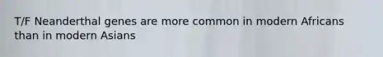 T/F Neanderthal genes are more common in modern Africans than in modern Asians