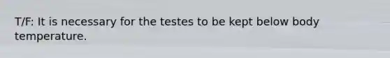T/F: It is necessary for the testes to be kept below body temperature.