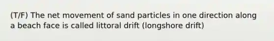 (T/F) The net movement of sand particles in one direction along a beach face is called littoral drift (longshore drift)