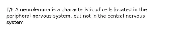 T/F A neurolemma is a characteristic of cells located in the peripheral nervous system, but not in the central nervous system