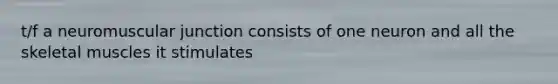t/f a neuromuscular junction consists of one neuron and all the skeletal muscles it stimulates
