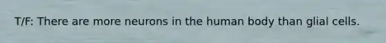 T/F: There are more neurons in the human body than glial cells.