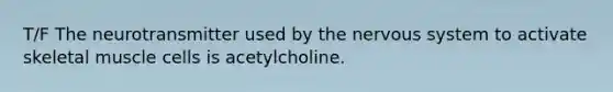 T/F The neurotransmitter used by the <a href='https://www.questionai.com/knowledge/kThdVqrsqy-nervous-system' class='anchor-knowledge'>nervous system</a> to activate skeletal muscle cells is acetylcholine.