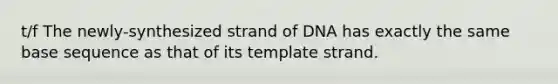 t/f The newly-synthesized strand of DNA has exactly the same base sequence as that of its template strand.