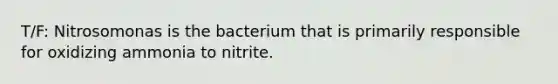 T/F: Nitrosomonas is the bacterium that is primarily responsible for oxidizing ammonia to nitrite.