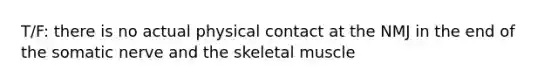 T/F: there is no actual physical contact at the NMJ in the end of the somatic nerve and the skeletal muscle