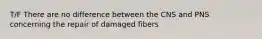 T/F There are no difference between the CNS and PNS concerning the repair of damaged fibers