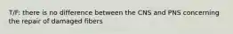 T/F: there is no difference between the CNS and PNS concerning the repair of damaged fibers