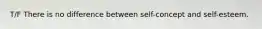 T/F There is no difference between self-concept and self-esteem.