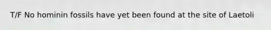 T/F No hominin fossils have yet been found at the site of Laetoli