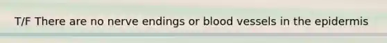 T/F There are no nerve endings or blood vessels in the epidermis