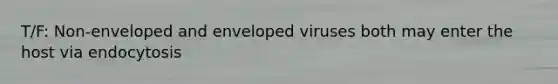 T/F: Non-enveloped and enveloped viruses both may enter the host via endocytosis