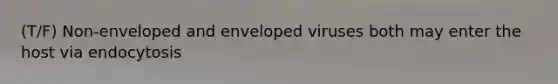 (T/F) Non-enveloped and enveloped viruses both may enter the host via endocytosis