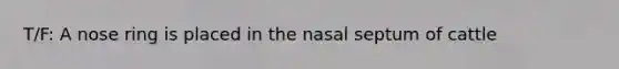 T/F: A nose ring is placed in the nasal septum of cattle