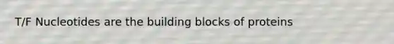 T/F Nucleotides are the building blocks of proteins