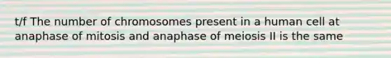 t/f The number of chromosomes present in a human cell at anaphase of mitosis and anaphase of meiosis II is the same