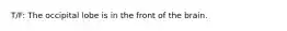 T/F: The occipital lobe is in the front of the brain.