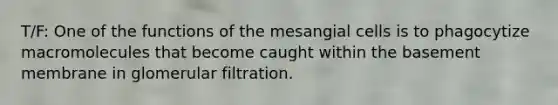 T/F: One of the functions of the mesangial cells is to phagocytize macromolecules that become caught within the basement membrane in glomerular filtration.