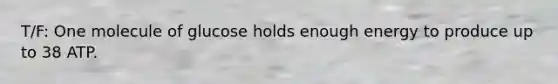 T/F: One molecule of glucose holds enough energy to produce up to 38 ATP.