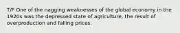 T/F One of the nagging weaknesses of the global economy in the 1920s was the depressed state of agriculture, the result of overproduction and falling prices.