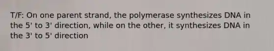 T/F: On one parent strand, the polymerase synthesizes DNA in the 5' to 3' direction, while on the other, it synthesizes DNA in the 3' to 5' direction