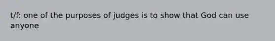 t/f: one of the purposes of judges is to show that God can use anyone