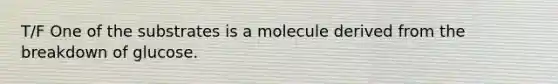 T/F One of the substrates is a molecule derived from the breakdown of glucose.