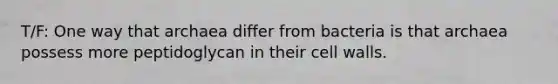 T/F: One way that archaea differ from bacteria is that archaea possess more peptidoglycan in their cell walls.