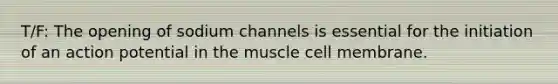 T/F: The opening of sodium channels is essential for the initiation of an action potential in the muscle cell membrane.