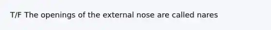 T/F The openings of the external nose are called nares