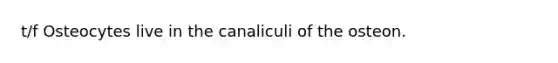 t/f Osteocytes live in the canaliculi of the osteon.