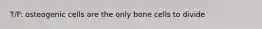 T/F: osteogenic cells are the only bone cells to divide