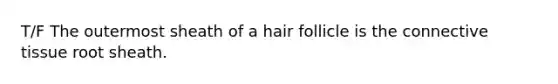 T/F The outermost sheath of a hair follicle is the connective tissue root sheath.