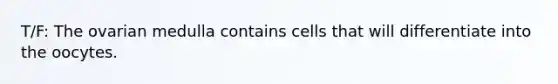 T/F: The ovarian medulla contains cells that will differentiate into the oocytes.