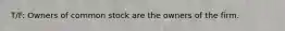 T/F: Owners of common stock are the owners of the firm.