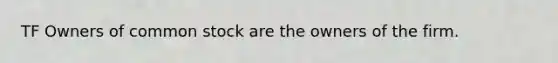 TF Owners of common stock are the owners of the firm.