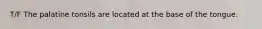 T/F The palatine tonsils are located at the base of the tongue.