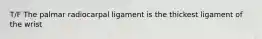 T/F The palmar radiocarpal ligament is the thickest ligament of the wrist