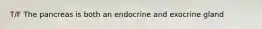 T/F The pancreas is both an endocrine and exocrine gland